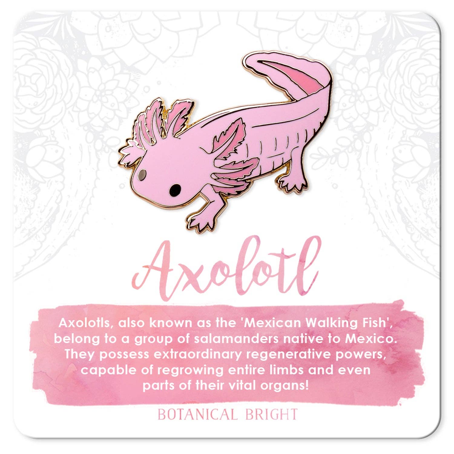 Axolotl Enamel Pin Trail Mix